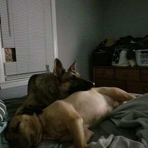 Meet your Posher, Dave